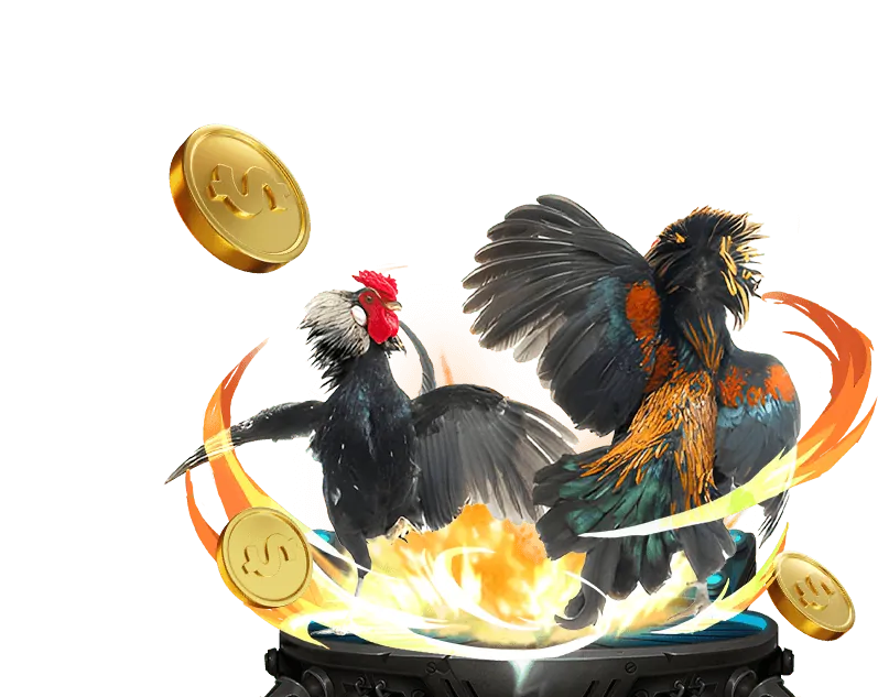 Cờ bạc có trách nhiệm i9bet142